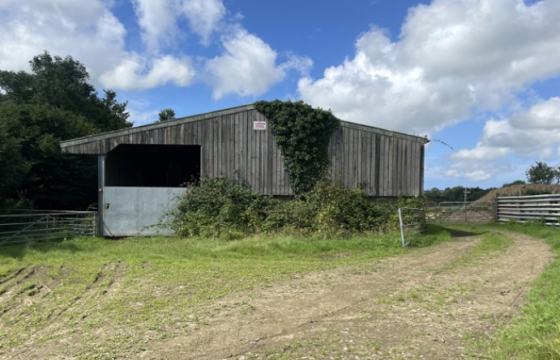 Plot for sale in Holsworthy photo